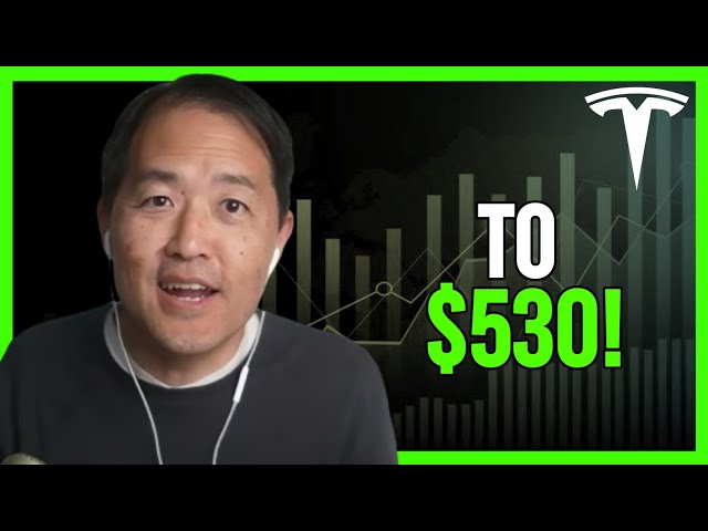 Dave Lee: Tesla Stock Will Reach THIS PRICE in January — Forget the Dip! class=