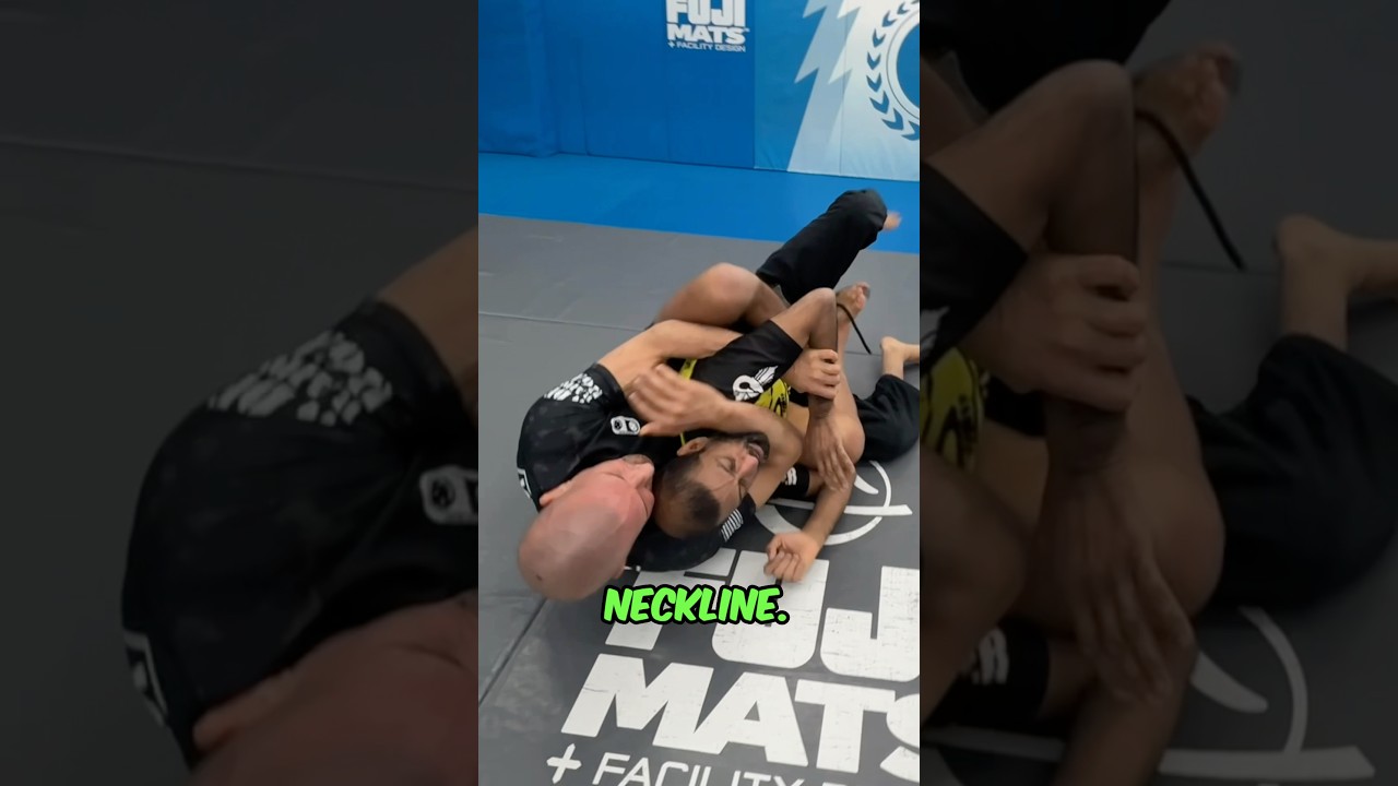 Turtle Breakdown to Back Control