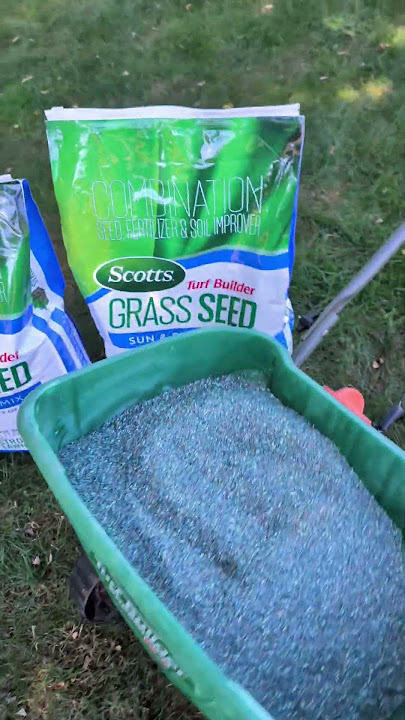 scotts grass seed sun and shade 'Get The Best Lawn Around' #review #lawncare #scotts