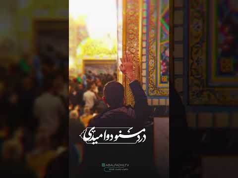 دوای دردم امام رضا علیه السلام