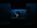 Shark GoPro Finds a Ghost Pirate Ship 😨 #goproanimals #nileriver #pharaohtomb