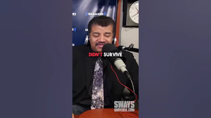 Neil deGrasse Tyson On The Pyramids Around The World 🤯