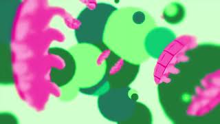 TARDIGRADE TUESDAY