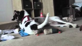 Pippi und Bubbles spielen screenshot 5
