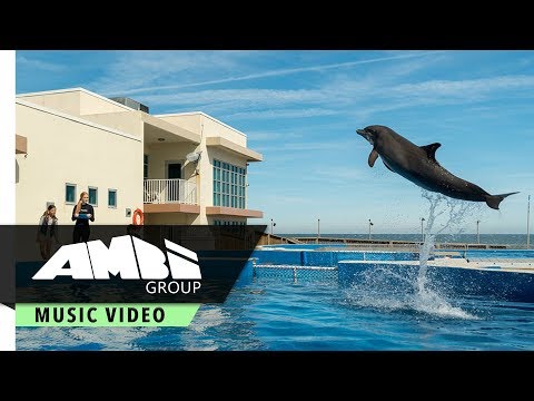 Best Friend - Feauturing Lola Sultan x Madison Mosley | From Bernie The Dolphin