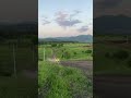 Работаем #алтай #квадроцикл