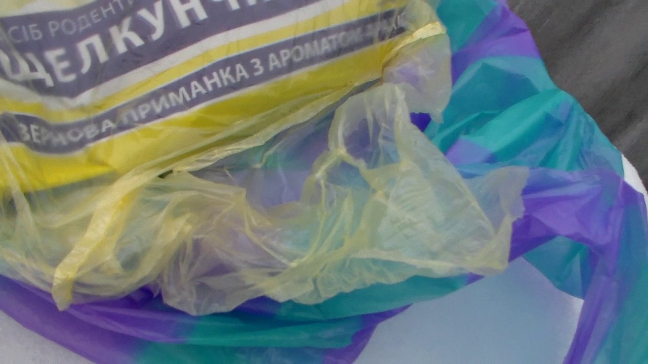 Борьба с мышами и землеройками в пчелиных ульях. - YouTube