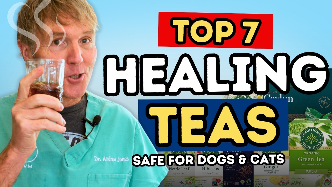 7 Healing Teas for Dogs and Cats That Actually Work