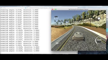 Test results using only flipped sample data provided by Udacity.