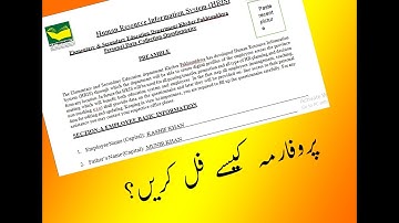 How to fill HRIS Employee Proforma