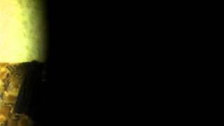 Capture 20131226