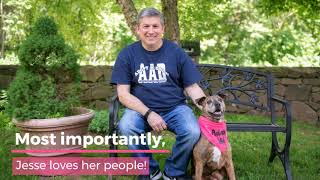 Adopt Jesse!