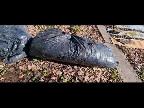 4275 Гимн дождевому червю ترنيمة لدودة الأرض  Hymn to the Earthworm