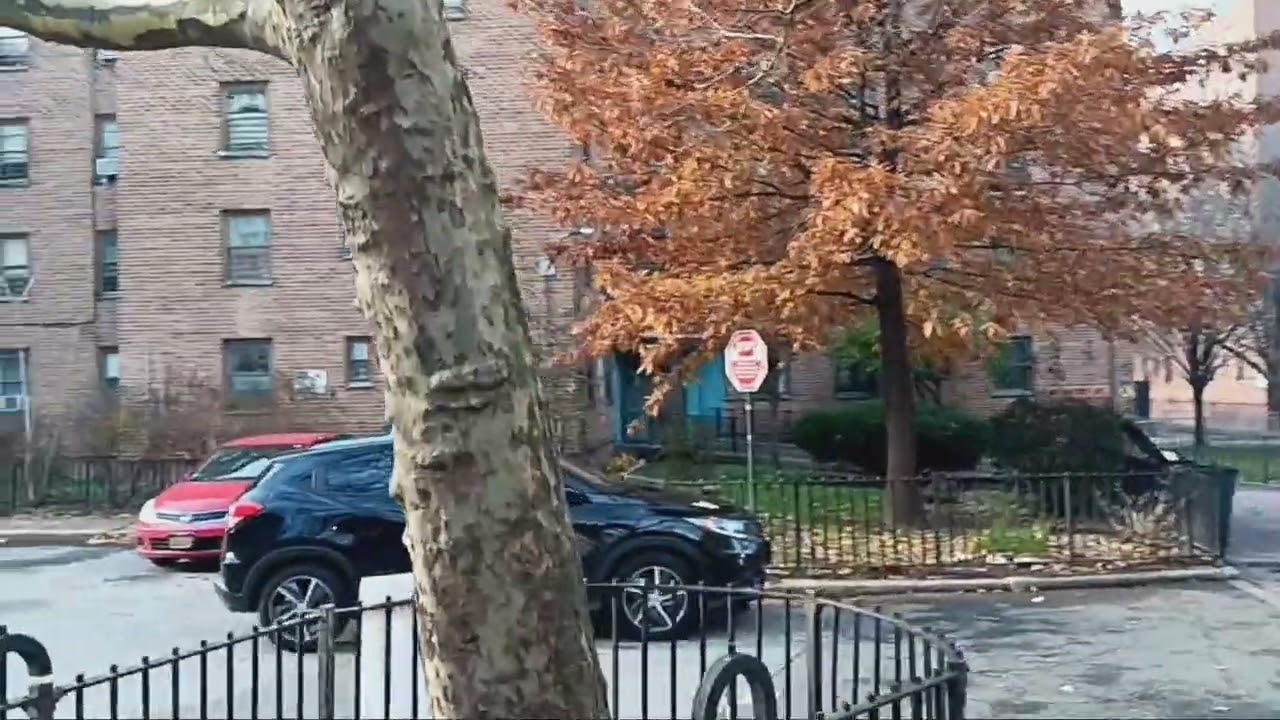 Brevoort Houses in Brooklyn Walking Tour