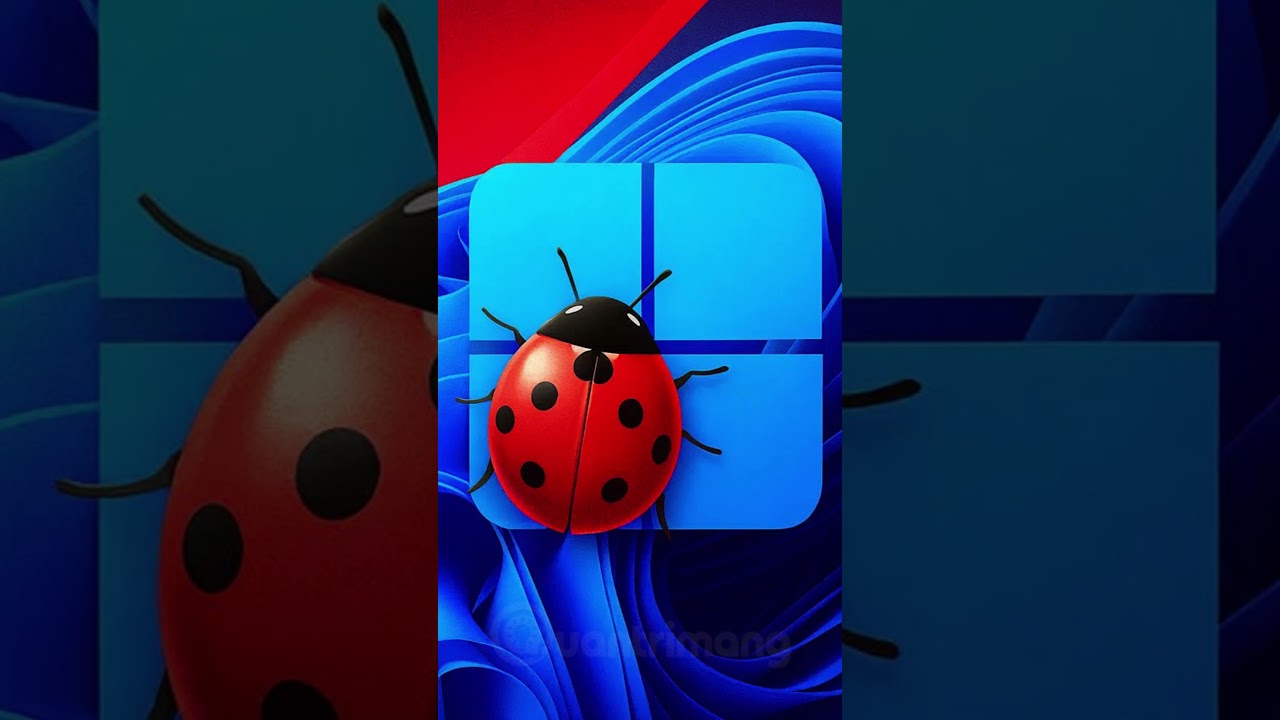 Microsoft xác nhận lỗi Windows 11 gây hỏng tính năng phát video DRM/HDCP