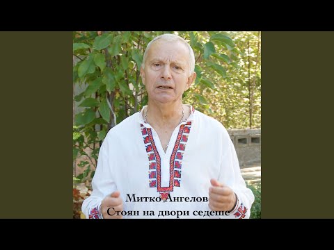 Стоян на двори седеше