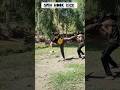 spin Hook kick 😱#selfdefense #training #tutorial