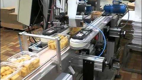 Labelling Technologies - CLM Clamshell/Tray labelling system