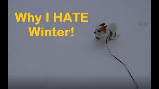 Why I Hate Winter & Always Will