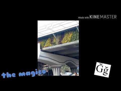 زراعة اعمدة و اجناب كباري مصر الجديدة بمنظومة ري حديثة