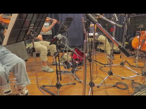 【刀剣乱舞無双】百花繚乱を演奏してみた【生演奏】