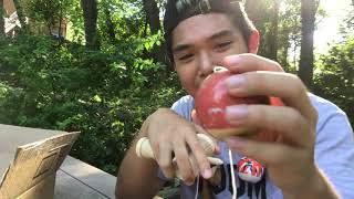 ⚠️$19.99 For a Pro Model?! WHAT?!?! Krom Kendama 2017 Pro Mods Unboxing.