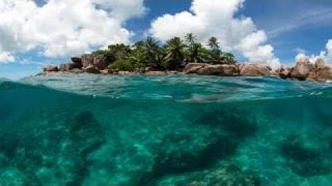 IBM creating robots to clean ocean