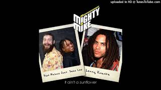 Post Malone feat. Swae Lee / Lenny Kravitz - It aint a sunflower (Mighty Mike mashup)
