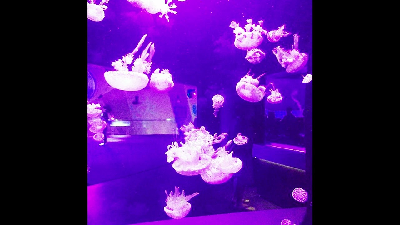 [FREE] playboi carti x pierre bourne type beat - 