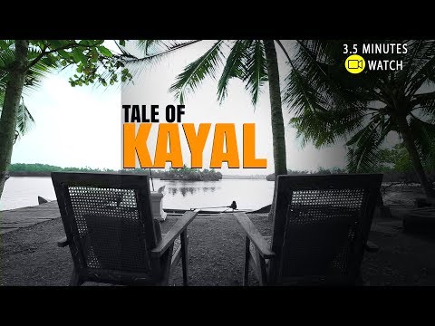 Maneesha Panicker’s Kayal, a real Kerala experience | channeliam.com