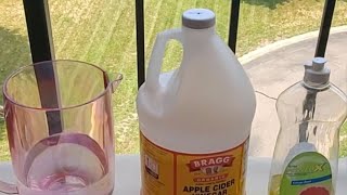 how to get rid of fruit fly.  وصفه مجربه للتخلص من الناموس والذباب