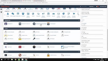 5 Dakikada cPanel üzerinde WordPress Kurulumu - 2022