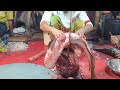 যমুনা নদীর গজাল মাছ 🐟😱৮ কেজি ওজন 😱how can gojal fish cut Cutting Skills Live 🐬#shorts #fish #foryou