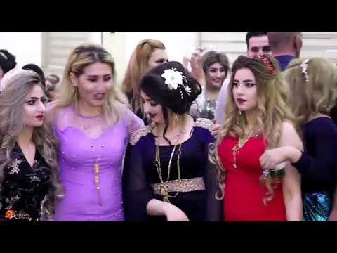 شاكر حلو القيراني حفلة اسماعيل حلاق