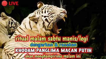 jika ingin memiliki khodam macan putih segeralah buka video ini || musik relaksasi