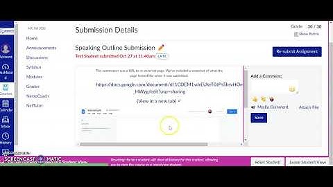 How to submit a GoogleDocs file as an assignment in Canvas