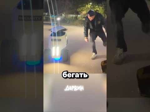 Куда он делся? thumbnail