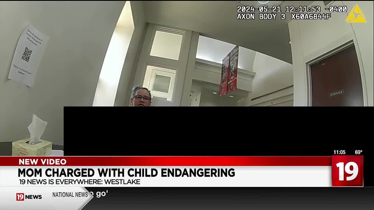 Westlake mom charged after young kids left alone in hot car - YouTube
