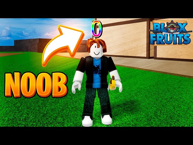 Coisas de Noob 2 #animacao #roblox #bloxfruit #fypage #fyp #fypシ #humo