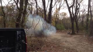 TANERITE vs golf cart