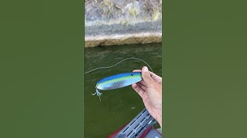 Flutter Spoon Tips for Big Bass