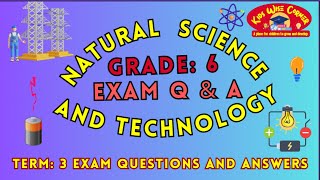 Grade 6 Term 3 Natural Science and Technology | Exam Q&A