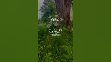 اجمل التلاوات الهادئة لسورة التوبة #quran