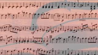 Duos Abécédaires - F. Mazas Op. 85, No. 3, 1st Movement - Allegro Moderato