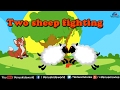 PANCHTANTRA ~ Two Sheep Fighting (English) - Animated Moral Stories For Kids