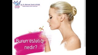 Mehmet Semih Ayhan-5