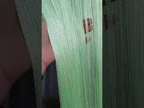 Штори нитки кісеябез люрексу однотонні золотисті № 15 світло-салатовий 3 м на 2.8 м, видео 1