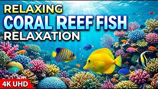 Gentle Underwater Sounds with Calming Waves for Meditation and Calmness