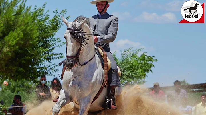 Luis Fernando Benitez Santander, el pellizco vaque...