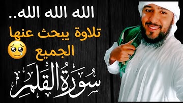 سورة القلم (كاملة) لأول مرة! || تأخذك الي عالم آخر من جمالها 🌍 || انوار ابوالفضل 🌸ارح قلبك وسمعك❤️🎧